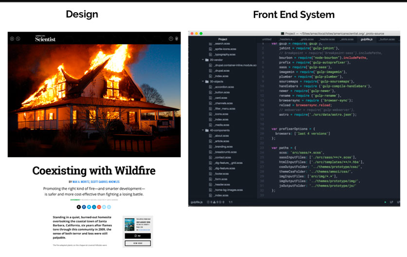 American Scientist Image